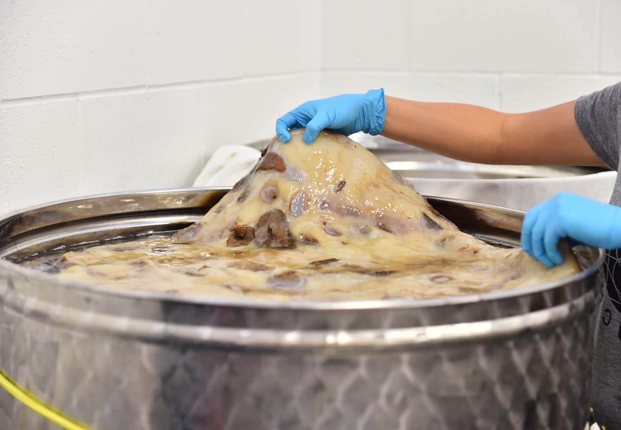 Wentsi Young shows off her healthy, three-year old scoby inside the 400-litre fermentation tank at I Crave Natural Foods, where she bottles Culture Kombucha.
