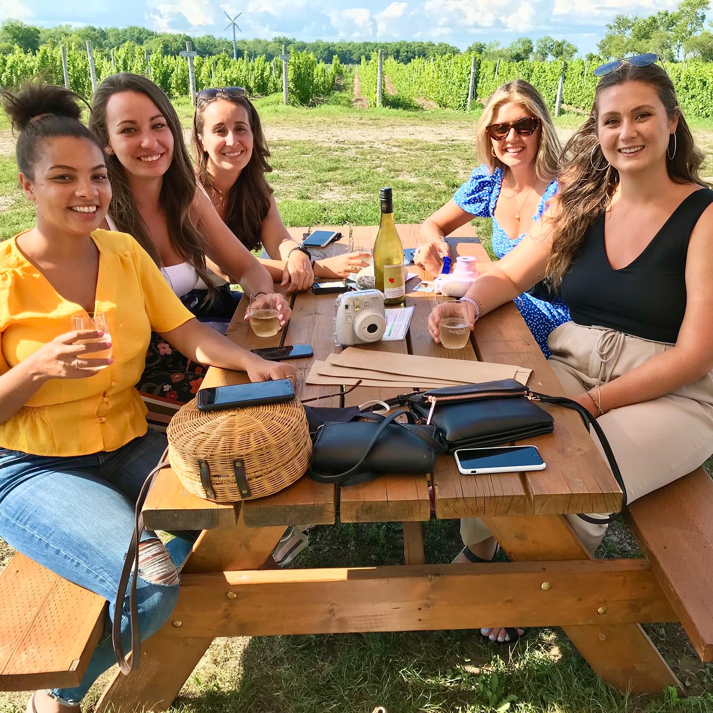 Prince Edward County Wine Tours