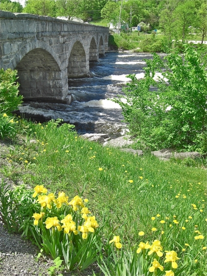 Discover great art, crafts, food and scenic wonders of Lanark