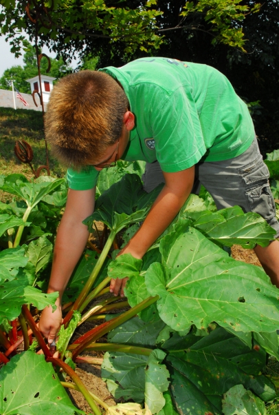 student planting in school garden