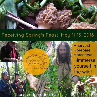 Receiving Spring’s Feast – Wild Food Workshop