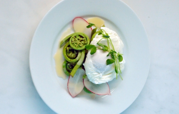 Spring Fiddlehead Salad with Poached Egg