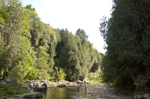 Photo - Elora Gorge, Destination Ontario
