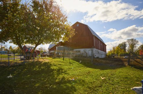 2025_10_08_Edible_1095